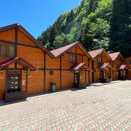 Kaya Residence Uzungöl Exterior photo