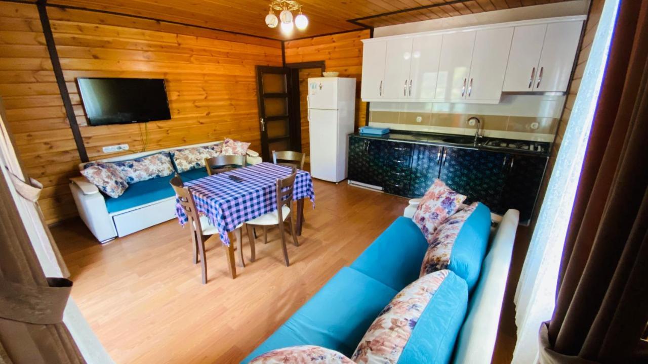 Apartment Kaya Uzungol